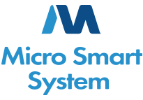 Micro Smart System