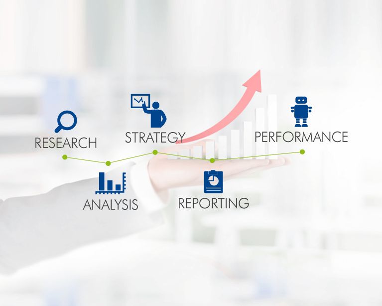 Search Engine Optimization (SEO)